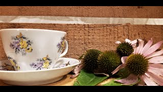 Immune Support Tea~ Echinacea