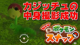 スクープ映像 約1年半の時を経てカジッチュの中身の撮影の成功【Newポケモンスナップ】