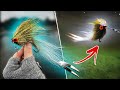 Tie TV - Paolo's Articulated Double Tail (Pike Fly Tying)