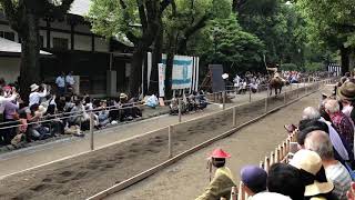 2018年鶴岡八幡宮例大祭流鏑馬神事U