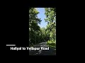 ಹಳಿಯಾಳ to ಯಲ್ಲಾಪುರ ರಸ್ತೆ haliyal to yellapur road forest view