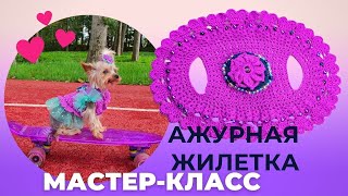 Очаровательная жилетка-платье для маленьких собак крючком — Подробный мастер-класс