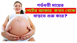 গর্ভবতী মায়েদের পেটের আকার কখন থেকে বাড়তে শুরু করে। মায়ের পেট বেশি বড় বা ছোট হলে কি সমস্যা হয়?