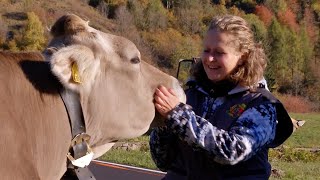 VAL DI SOLE: BUONE PRATICHE DI ZOOTECNIA DI MONTAGNA