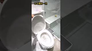 溫哥華房子長期不住人 一定要找人定期檢查 #shorts #home #renovation#小李哥 #小李哥說裝修 #溫哥華 #溫哥華裝修 #素里 #列治文 #本拿比 #高貴林 #加拿大 #裝潢