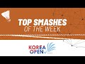 Korea Open 2024 | Top Smashes of the Week