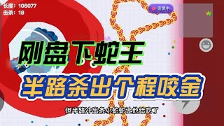 【小羽游戏王】贪吃蛇大作战：粉丝要求的盘蛇王视频，它来了