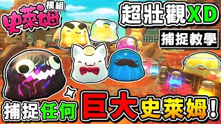 【史萊姆農場 模組】一次安裝７種全新【50倍大】史萊姆😂 !! 放滿農場【超壯觀XDD】!! 連水胖胖史萊姆【都可以抓回家】!! 中文劇情《Slime Rancher MOD》全字幕 !! 第十季