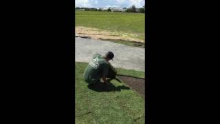 How to Lay like the Turfmen