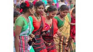 Kaso piril piril new santali traditional song 2025☘️🍀🍀Bajar Disom kuri new santali traditional song