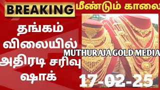 04-02-25|மீண்டும்நண்பகல்சரசரவென சவரன்தங்கம்விலைகடும்சரிவு|today goldratetamil|goldprice|22K|Chennai