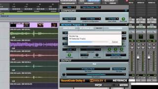 Neyrinck | SoundCode for Dolby E | Pro Tools Workflow