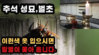 추석 성묘 벌초하실때 이런색깔의 옷은 입이시면 안되요!