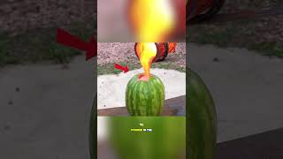 What Happens When You Pour Lava into a Watermelon?