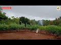 कोकणातील पहिला पाऊस ⛈️ first rain in kokan pahila paus मी कोकणी शुभम