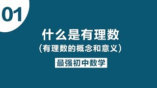 最强初中数学01-什么是有理数