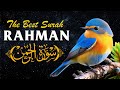 Surah Ar-Rahman: The Grace of the Most Compassionate - Murottal Al Quran Best Reciter By Ala Yaser