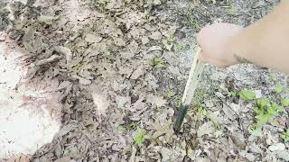 CHEESEQUAKE STATE PARK | MATAWAN NJ