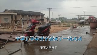 干旱了半年终于迎来了一场大雨，再不下雨农作物就死完了