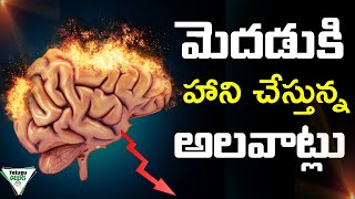 This 4 Habits Is Damaging Your Brain | Stop Playing With Your Life | Telugu Geeks