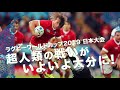 rwc2019日本大会！チケット先着販売（大分）①