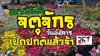 ตลาดต้นไม้จตุจักรวันอังคารเปิดปกติแล้วจ้า7-9-64