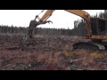 an excavator at work making mounds for tree planters