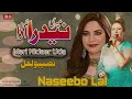 Meri Nidaer Uda  Naseebo Lal  New Punjabi Mujra Song 2024 - BN BUREWALA HD