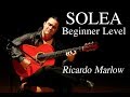 EliteGuitarist.com - Solea for Beginners Flamenco Guitar Lesson - Ricardo Marlow 1/7