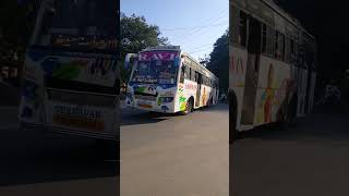 Ravi Bus Delta Komban 😈 Sri Murugan Thirunelveli to Thiruchendur kovil vasal @MuthukrishnanMK-ql3hz