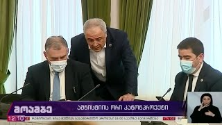 ამნისტიის ორი კანონპროექტი