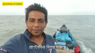 আবারও সুন্দরবন বাঁচিয়ে দিলো আমাদের Mohsin-ul Hakim Sundarban