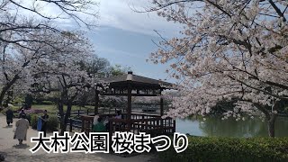 20230401 長崎県 大村公園  桜2000本 桜まつり【日本さくら名所100選】満開！