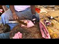 kasimedu 🔥 minnal raja big black trevally fish cutting video in kasimedu ff cutting 🔪