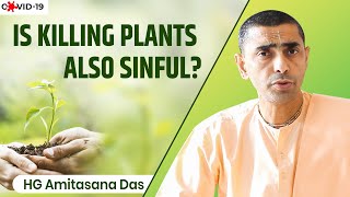 IS KILLING PLANTS ALSO SINFUL? | Q\u0026A SERIES WITH HG AMITASANA DAS