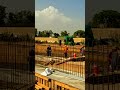 Karachi BRT Red Line Underpass