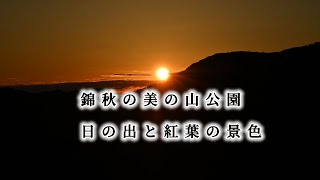 錦秋の美の山公園。日の出と紅葉の景色埼玉県秩父郡皆野町。2024.11.19Nishiki Autumn Beauty Mountain Park Sunrise and autumn leaves