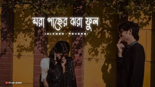 আমি মরা গাছের ঝরা ফুল { Slowed + Reverb } - Ami Mora Gaser Jhora Ful | Sad Song | Bangla New Song