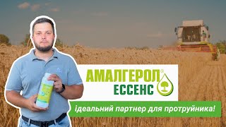 Амалгерол Ессенс - ідеальний партнер для протруйника!