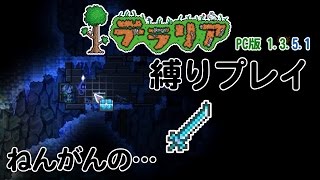 【テラリアPC版】#45 満ちる器と、冷氷の煌めき【ゆっくり実況縛りプレイ】