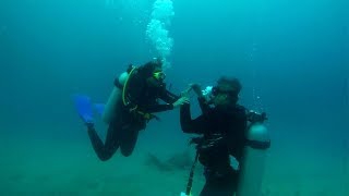 Couple Get Engaged While Scuba Diving