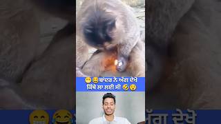 🫣😂🤣ਬਾਂਦਰ ਨੇ ਅੱਗ ਦੇਖੋ ਕਿਥੇ ਲਾ ਲਈ ਸੀ | #virals #monkeylove #Monkeyfunny #surajrox