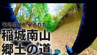 稲城市百村、南山に残る里山の道