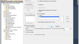 SQL Server Tutorial 2 - Backup and Restore