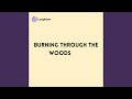Burning through the Woods