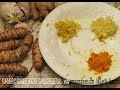 Bladder Infection Remedial: Turmeric, Ginger Root & Garlic Benefits Bladder Infection Remedial: Turmeric, Ginger Root & Garlic Benefits
