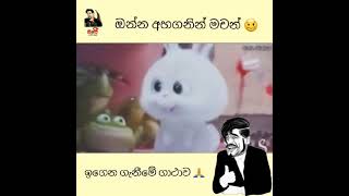 ඉගෙන ගැනීමේ ගාථාව.🙄