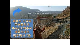 세종시토지부동산,주변풍치가특A급 세종시소액투자대지,정부청사7분