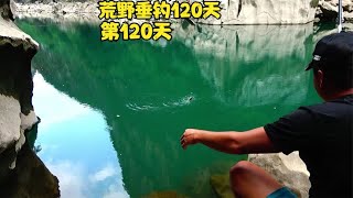 荒野垂钓120天第120天，这种品质的鲫鱼，哪位钓鱼佬看见了不迷糊