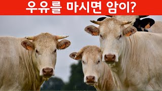 우유를 마시면 유방암이? | 유방암위험 | 아푼데 우짜꼬?